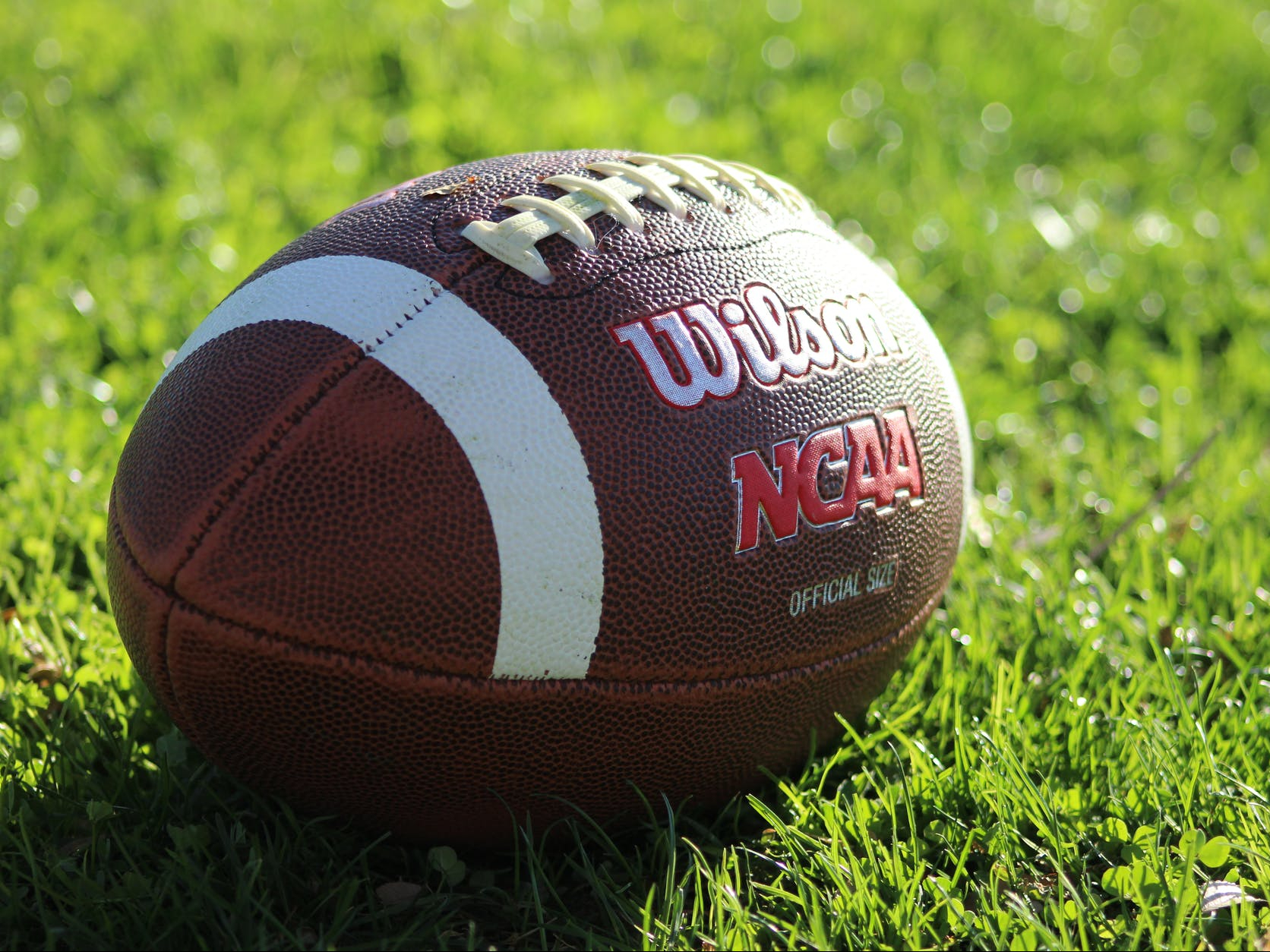 Are you a fan of NCAA/College football?
