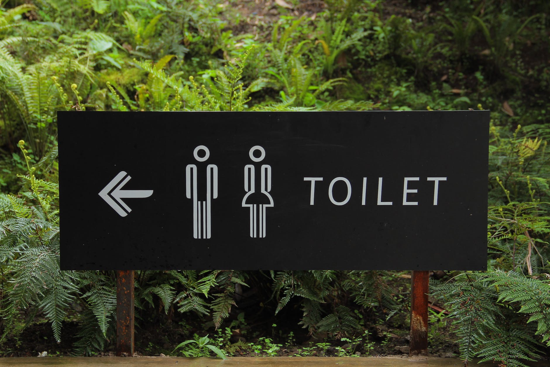 Do you inspect what you leave in the toilet?