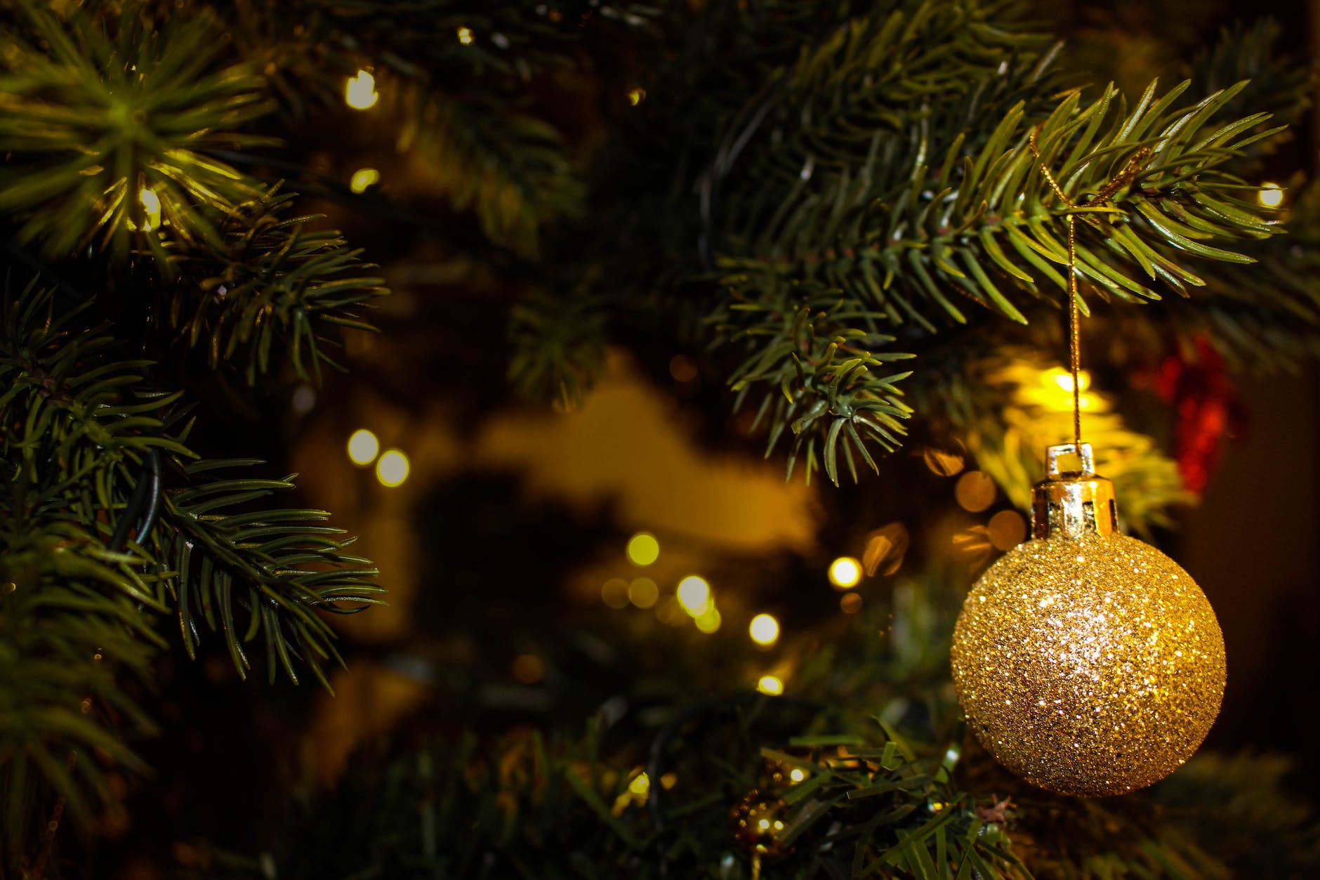 Do you prefer white or colored lights on your Christmas tree?