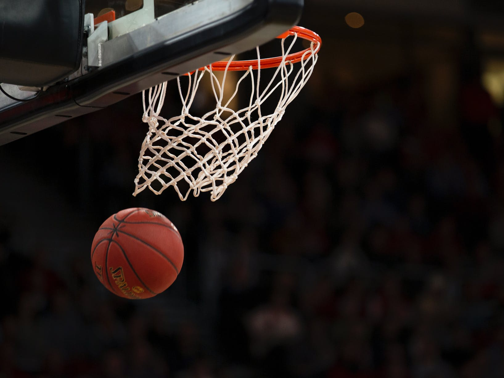 Do you regularly follow/watch the NBA playoffs?